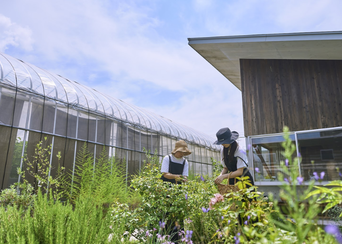 【10/8(水)】半谷美野子さんとハーブ畑のお手伝い