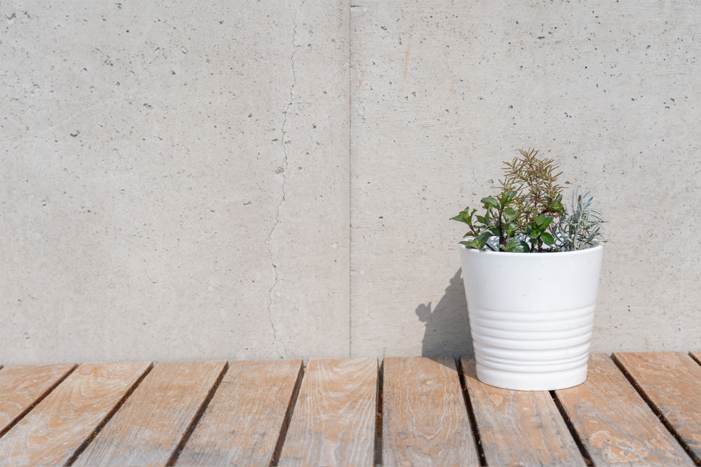 【5/26 開催 湯癒草々ハーブの会】「ハーブの寄せ植えを楽しもう」