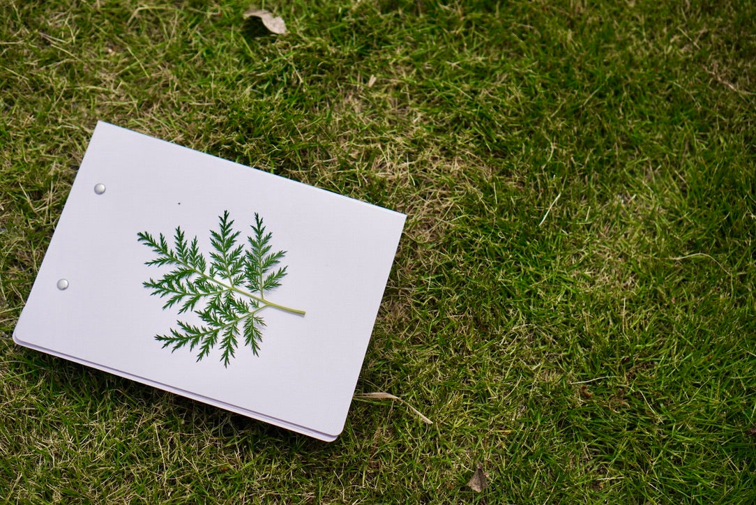 野草研究家・山下智道さんと巡る、各務原のハーブ旅【内藤記念くすり博物館編】