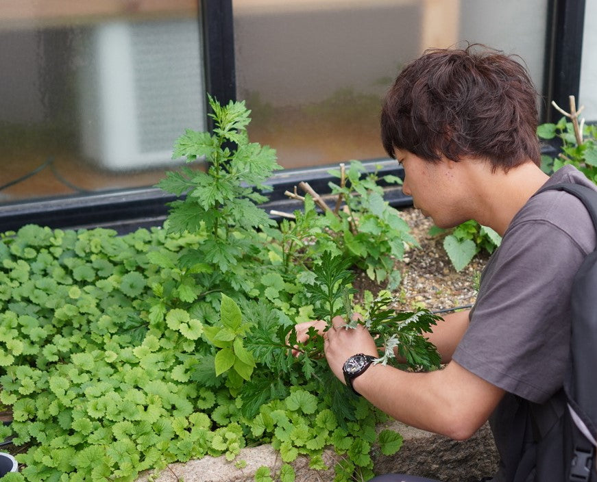 野草研究家・山下智道さんと巡る、各務原のハーブ旅【恵みの湯編】