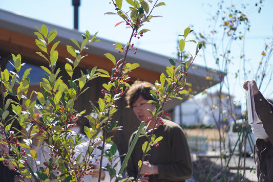 【レポート】野草研究家・山下智道さんと学び、体験する『知られざる日本のスパイス』
