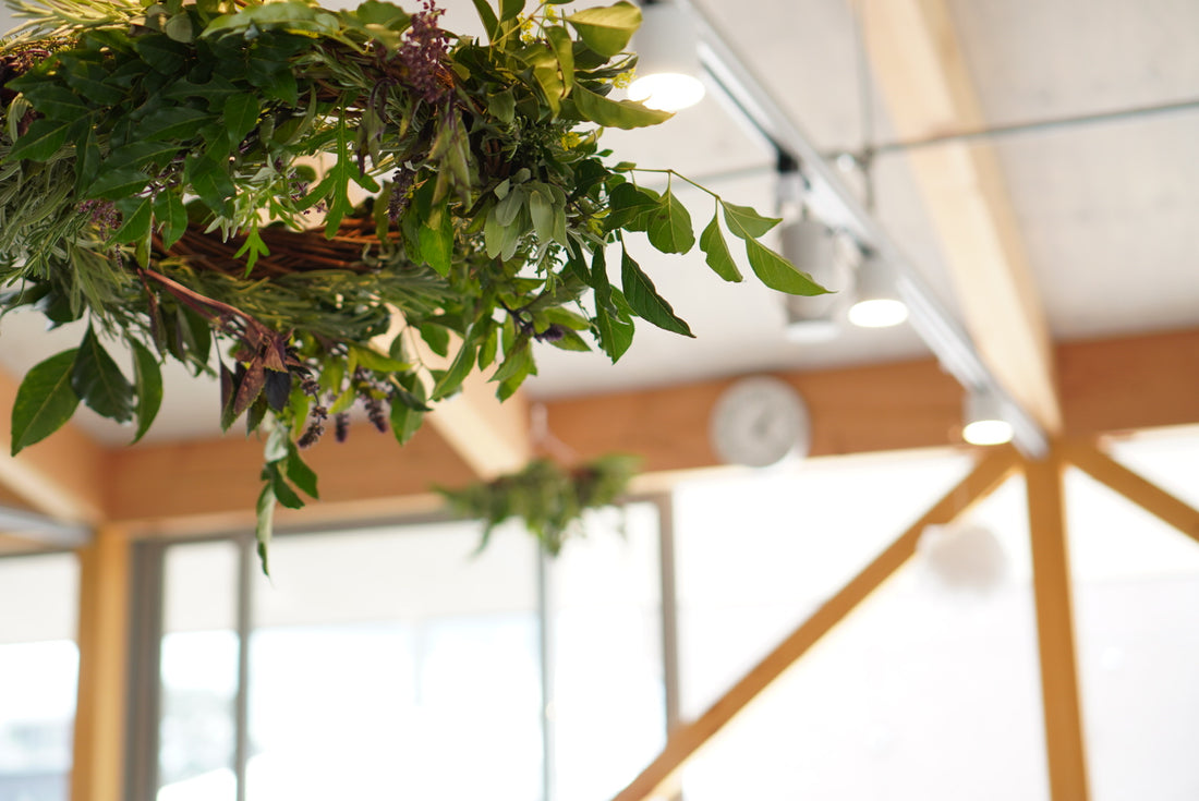 【レポート】『湯癒草々ハーバルマルシェ』で知る、さまざまなハーブの魅力