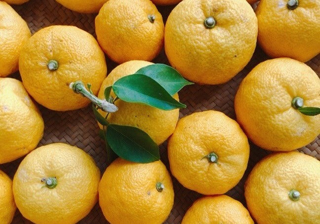 【11/５開催のイベント】無農薬栽培『かみのほ柚子』使用、柚子胡椒作り講座　ゲスト：ボタニカルライフプランナー®・大西歩美さん