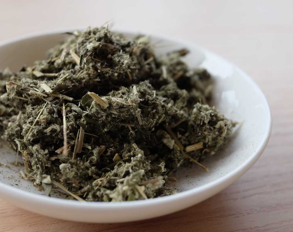 一年中楽しめる！一番身近な和ハーブ「ヨモギ」