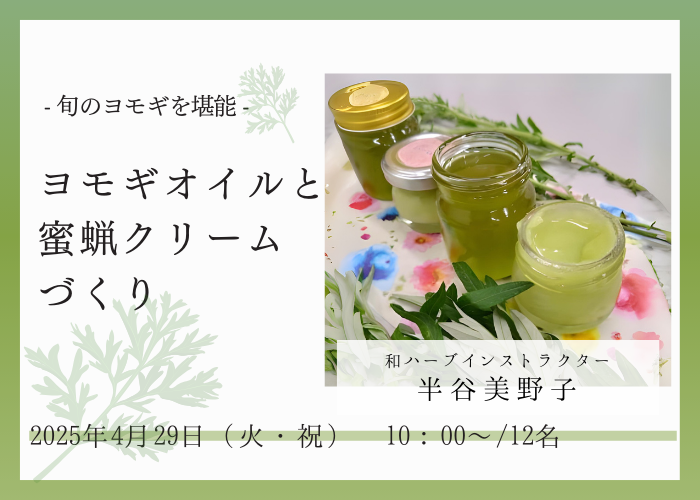 旬のヨモギでヨモギオイルとヨモギの蜜蝋クリームづくり