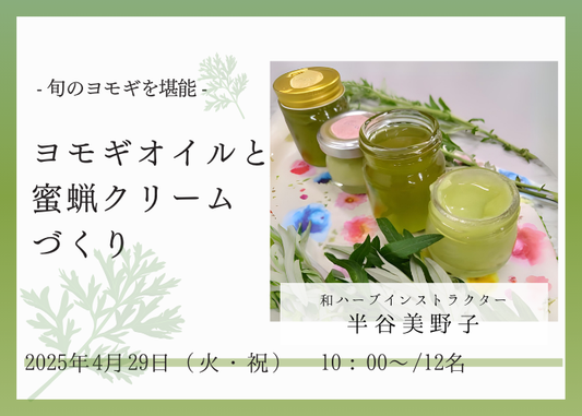 旬のヨモギでヨモギオイルとヨモギの蜜蝋クリームづくり