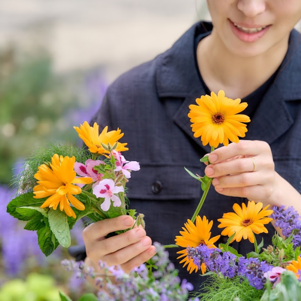 【11/11(火)】森昭彦さんと巡る、ハーブと癒しの時間「季節を摘む、香りを楽しむ」