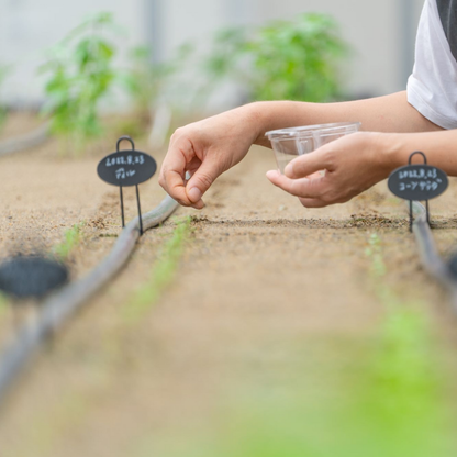 【11/11(火)】森昭彦さんと巡る、ハーブと癒しの時間「季節を摘む、香りを楽しむ」