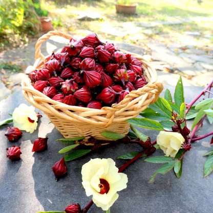 【10/13(月・祝)】旬のローゼルでつくる♪ ピンクの豆乳マヨネーズ&ドレッシング作り