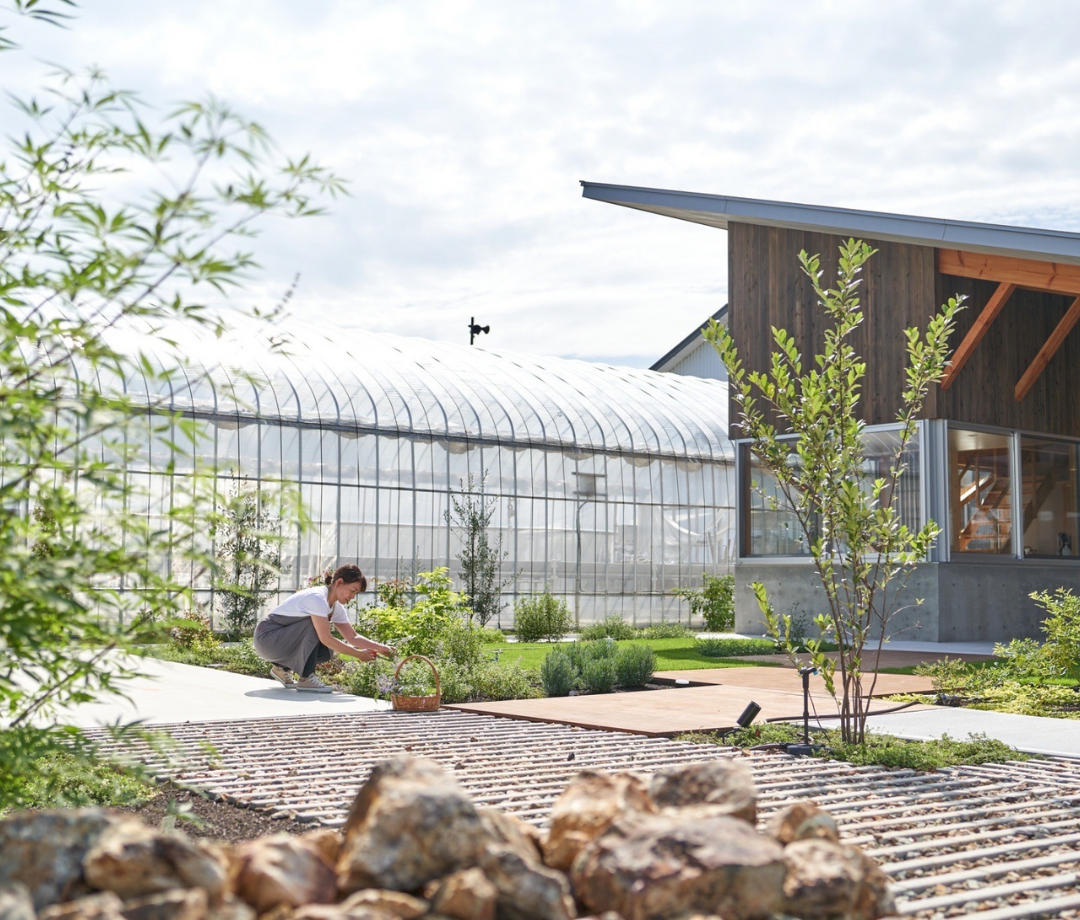 【8/23(土)】ムーチー（月桃餅）作りと琉球ハーブを楽しむ会