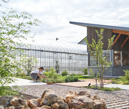 【8/23(土)】ムーチー（月桃餅）作りと琉球ハーブを楽しむ会