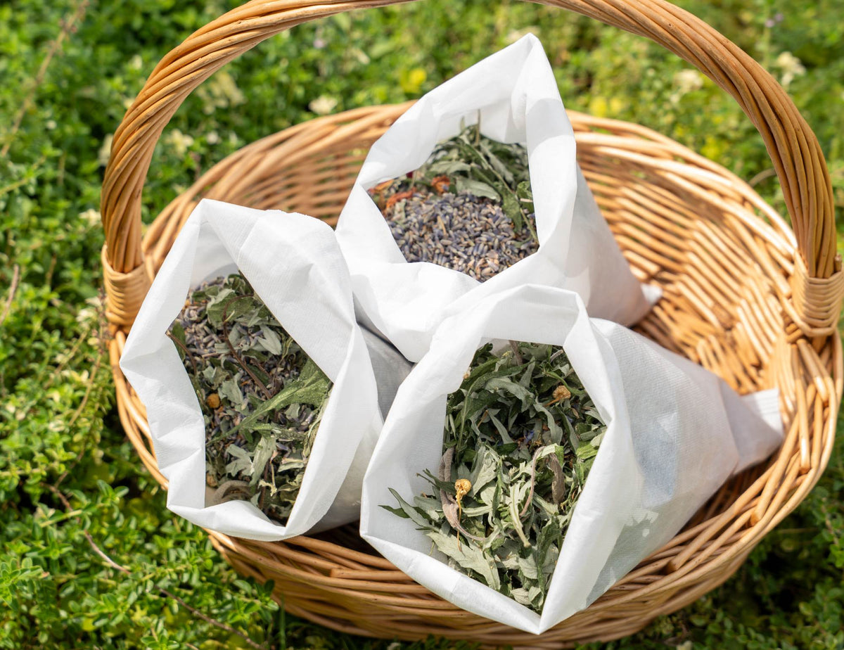 【当日現地払い 1,000円】薬草枕つくり～飛騨薬草フェスティバル～