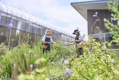 【湯癒草々ボランティアの会】半谷美野子さんと一緒に畑作業のお手伝い