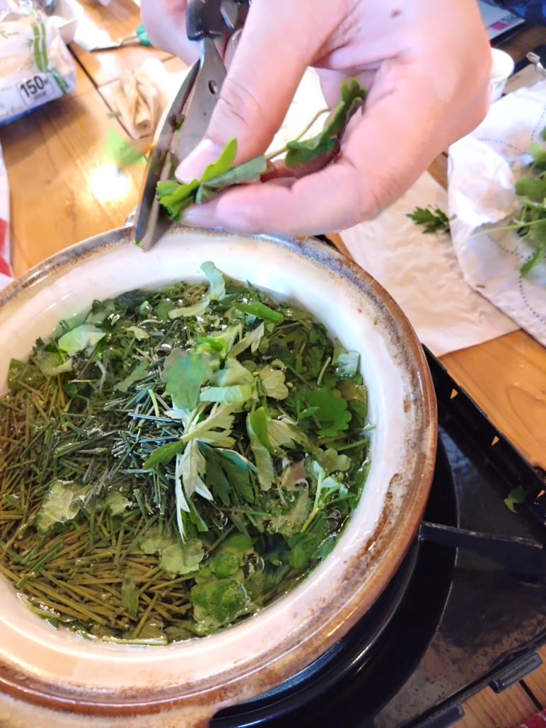 旬のヨモギでヨモギオイルとヨモギの蜜蝋クリームづくり