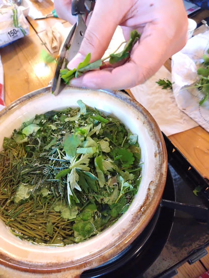 旬のヨモギでヨモギオイルとヨモギの蜜蝋クリームづくり