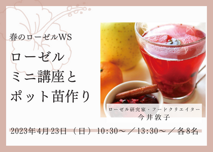 【4/23 開催イベント】春のローゼルワークショップ「ローゼルミニ講座とポット苗作り」