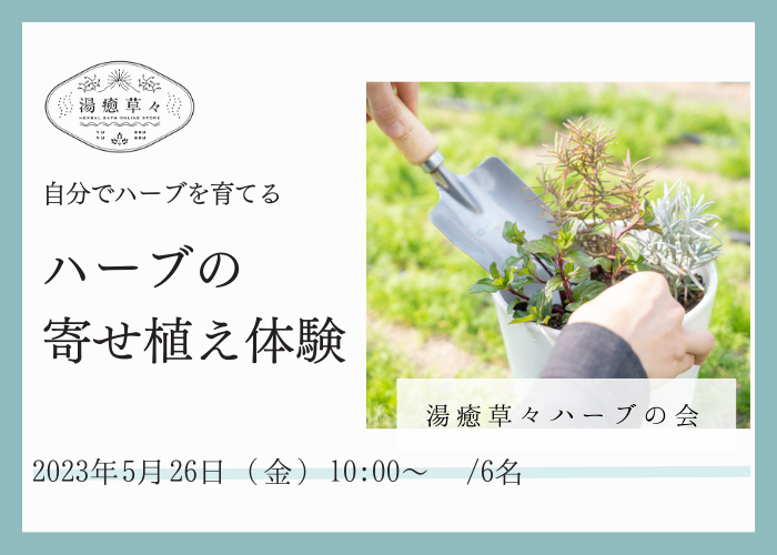 【5/26  開催 湯癒草々ハーブの会】「ハーブの寄せ植えを楽しもう」